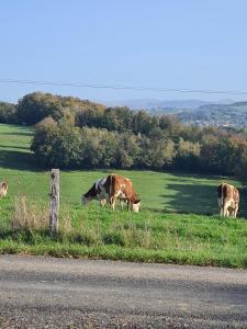 Maisons de vacances Maison tout pres d’Aurillac - Monts du Cantal : photos des chambres