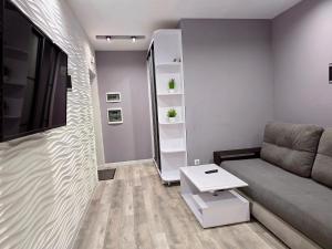 Premium apartment on Belvedere