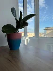 Ana's Loft - Viştea de Sus