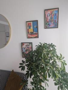 Appartements L-appart le 19 , F3 proche centre vue cathedrale, 2 chambres : photos des chambres