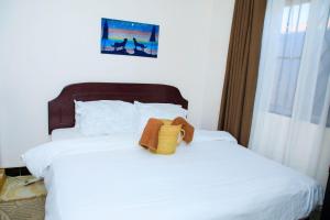 Lions Den Studio Apartment-Roar with Comfort
