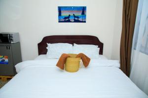 Lions Den Studio Apartment-Roar with Comfort