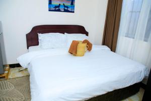 Lions Den Studio Apartment-Roar with Comfort