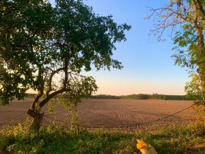 Underbart litet hus i lantligt läge