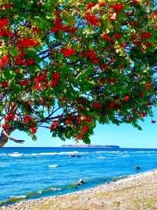 Underbart litet hus i lantligt läge