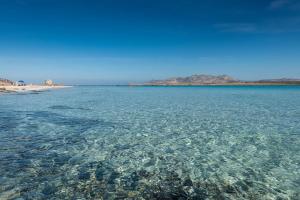 Trilo La Pelosa img19