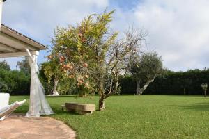Villa Carrubo Peroscia by StHey