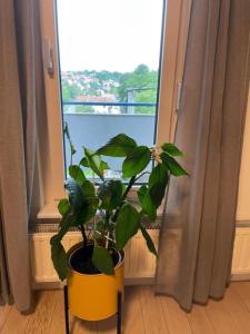 Modern & Charming - Free Private Parking