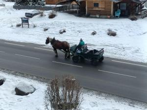 Appartements Le Cocon des Cimes : photos des chambres