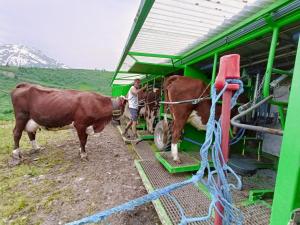 Appartements Le Cocon des Cimes : photos des chambres