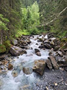 Appartements Le Cocon des Cimes : photos des chambres