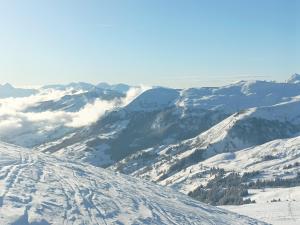 Appartements Le Cocon des Cimes : photos des chambres