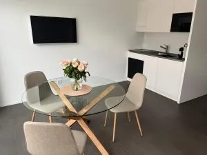 Neues 2 Zimmer Studio am Fusse des Niesen am Thunersee - Reichenbach