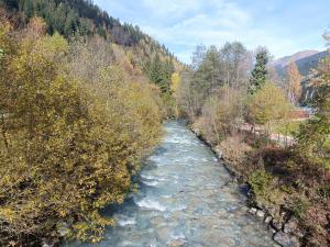 Appartements Le Cocon des Cimes : photos des chambres