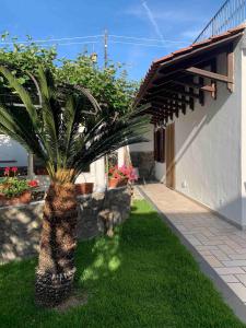 Il Tondo Garden, Lacco Ameno, Ischia