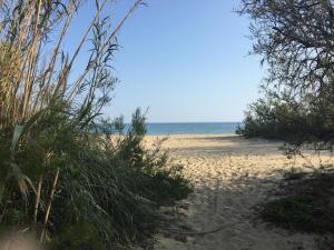 RDC Villa grand jardin, piscine chauffée, jacuzzi