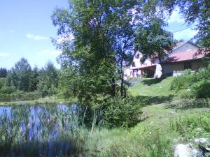 Maisons de vacances Gites De La Racine : photos des chambres