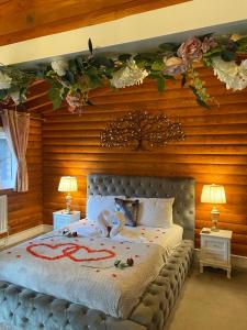 Kaoglen-Blossom-Hot tub-Cairngorms-Pet Friendly