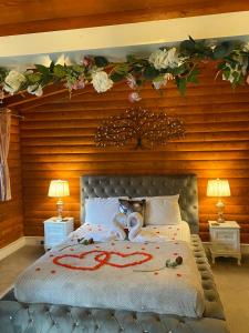 Kaoglen-Blossom-Hot tub-Cairngorms-Pet Friendly