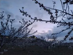 La casa del Amo , Trasmoz Y Moncayo - Magallón