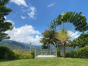 Finca La Mediterránea en San Jerónimo