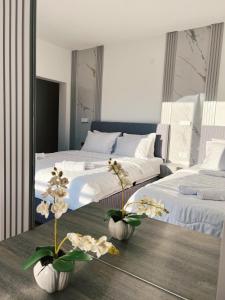 Apartments Fat e Jet - Pool & Breakfast