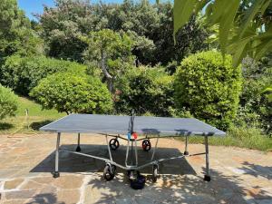 Villa grand jardin, piscine chauffée, jacuzzi