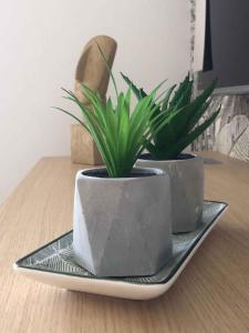 Apartment in Milcetici - Insel Krk 43321