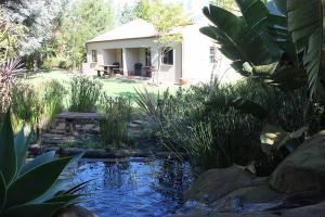 Timeless at Rusticana