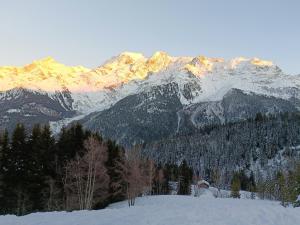 Appartements Le Cocon des Cimes : Appartement 1 Chambre