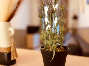 Appartements Douillet Rue Saint-Gervais - 369 : photos des chambres