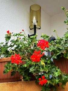 Apartament Sant Feliu de Guíxols downtown