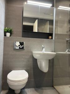 Beautiful Apartment in the Heart of the City