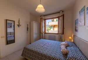 Lovely Apartment with terrace