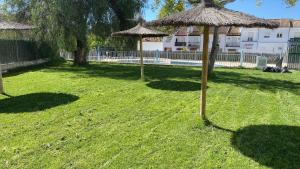 El mirador de El Bosque