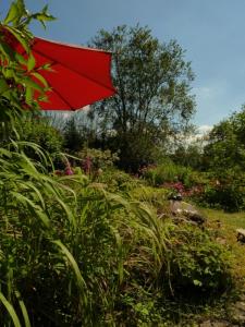 Beautiful condo with big garden