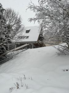 Logement rdc dans Chalet 4 étoiles 1700m 4pers 100mdespistes St Lary