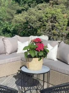 Sørlandsidyll - 克拉格勒