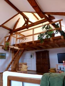 Beautiful condo with big garden