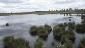 Beautiful condo with big garden