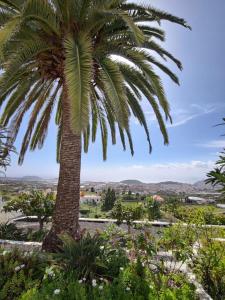 Rural Jardines la Quinta 0