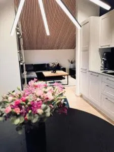 Cozy Apartment in Melhus - 欧坎哥