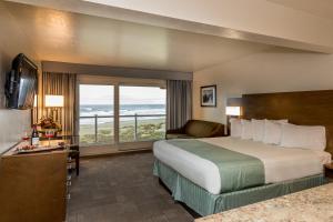 Driftwood Shores Resort
