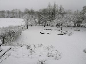 Beautiful condo with big garden