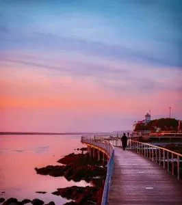 Paradise Villa - Barcelos