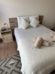 Appartements Magnifique studio : photos des chambres