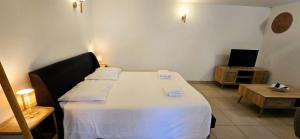 Appartements Le Bacchus : photos des chambres