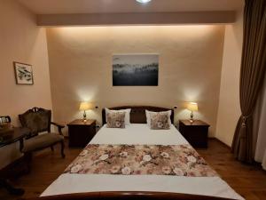 Residence Castelului