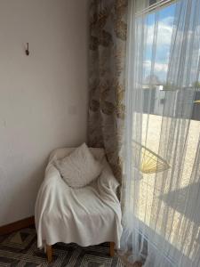 Appartements Magnifique studio : photos des chambres