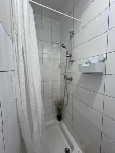 Appartements Magnifique studio : photos des chambres